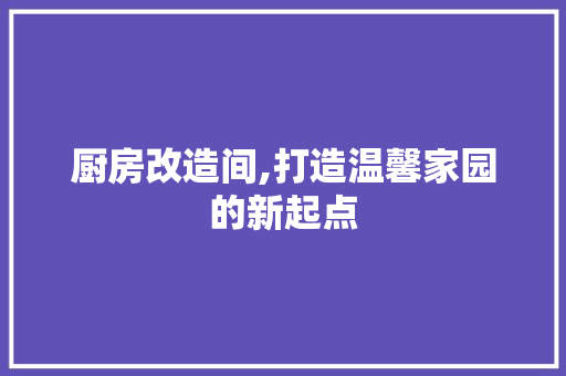 厨房改造间,打造温馨家园的新起点
