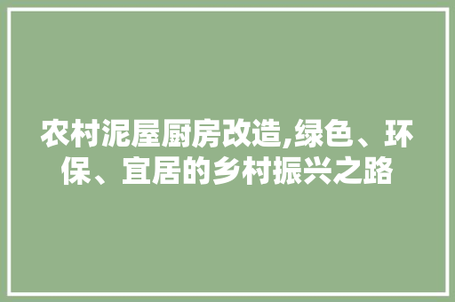 农村泥屋厨房改造,绿色、环保、宜居的乡村振兴之路