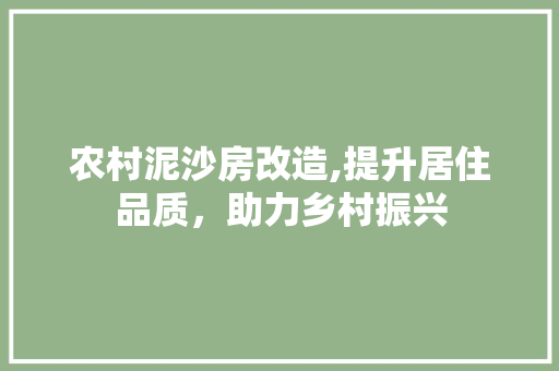 农村泥沙房改造,提升居住品质，助力乡村振兴