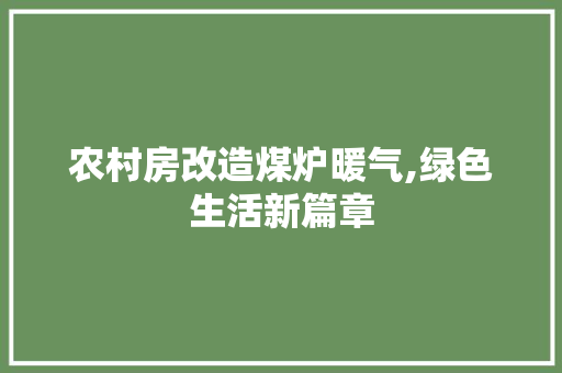 农村房改造煤炉暖气,绿色生活新篇章