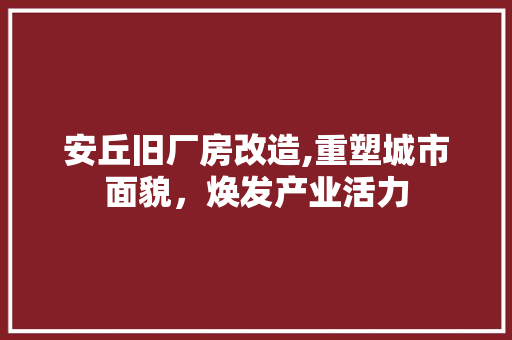 安丘旧厂房改造,重塑城市面貌，焕发产业活力