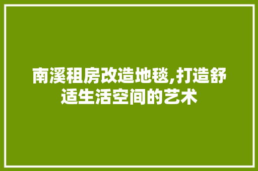 南溪租房改造地毯,打造舒适生活空间的艺术