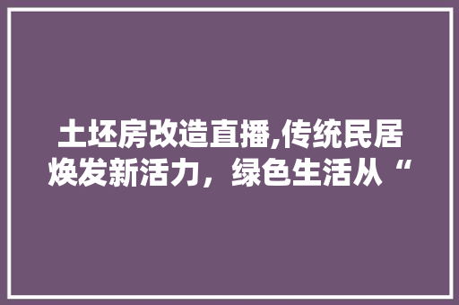 土坯房改造直播,传统民居焕发新活力，绿色生活从“新”开始