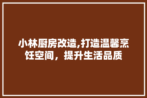 小林厨房改造,打造温馨烹饪空间，提升生活品质
