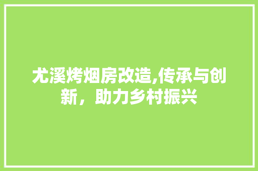尤溪烤烟房改造,传承与创新，助力乡村振兴