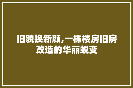 旧貌换新颜,一栋楼房旧房改造的华丽蜕变