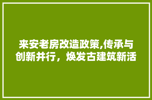 来安老房改造政策,传承与创新并行，焕发古建筑新活力