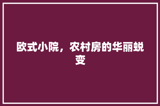 欧式小院，农村房的华丽蜕变