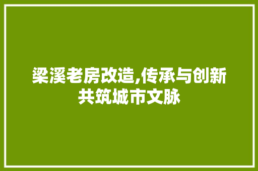 梁溪老房改造,传承与创新共筑城市文脉