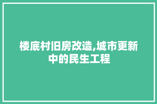 楼底村旧房改造,城市更新中的民生工程