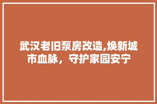 武汉老旧泵房改造,焕新城市血脉，守护家园安宁