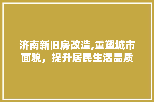 济南新旧房改造,重塑城市面貌，提升居民生活品质