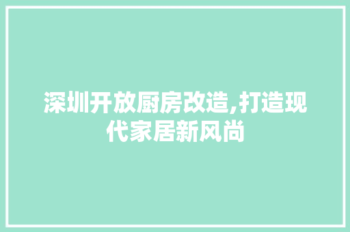 深圳开放厨房改造,打造现代家居新风尚
