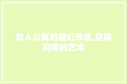 双人公寓的魔幻改造,空间利用的艺术